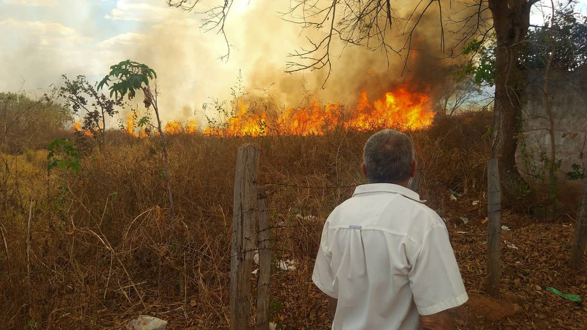 fogo incendio-lagoa-dos-patos-mg-calor_2Kzs9