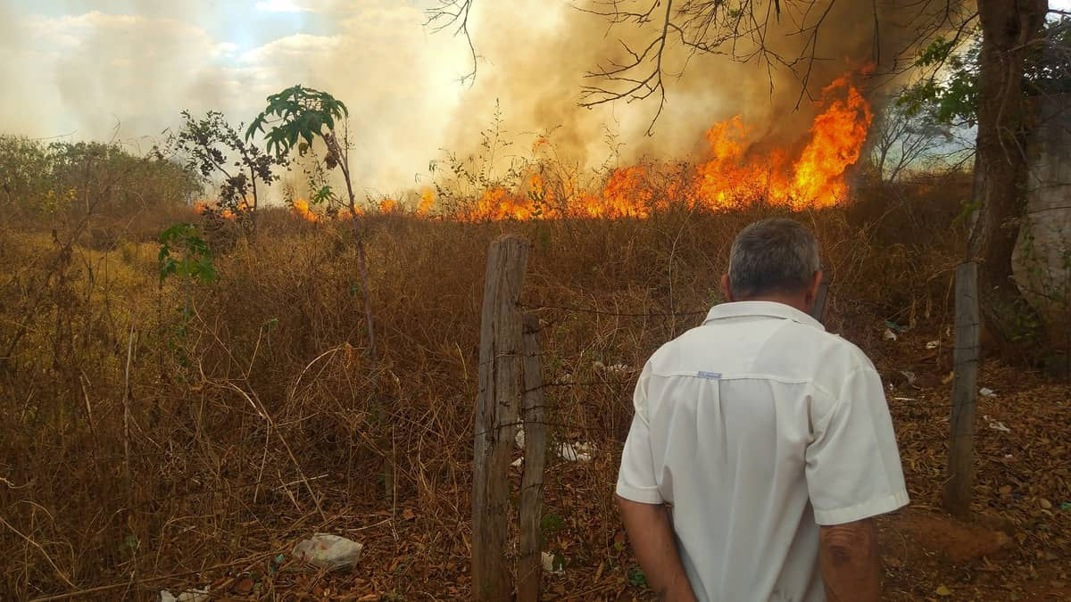 fogo-incendio-lagoa-dos-patos