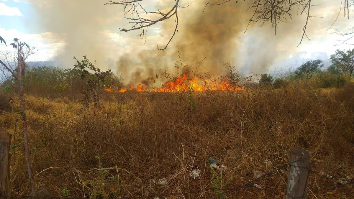 fogo-incendio-lagoa-dos-patos