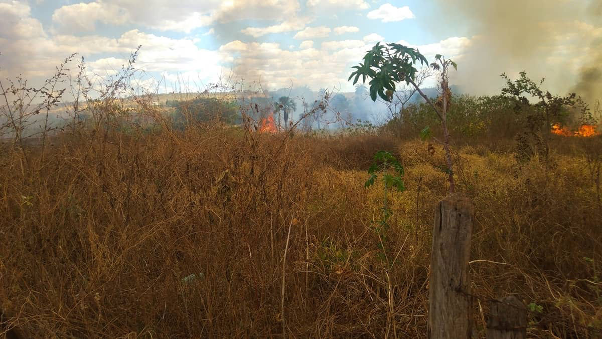 fogo incendio-lagoa-dos-patos-mg-calor_xeQpU